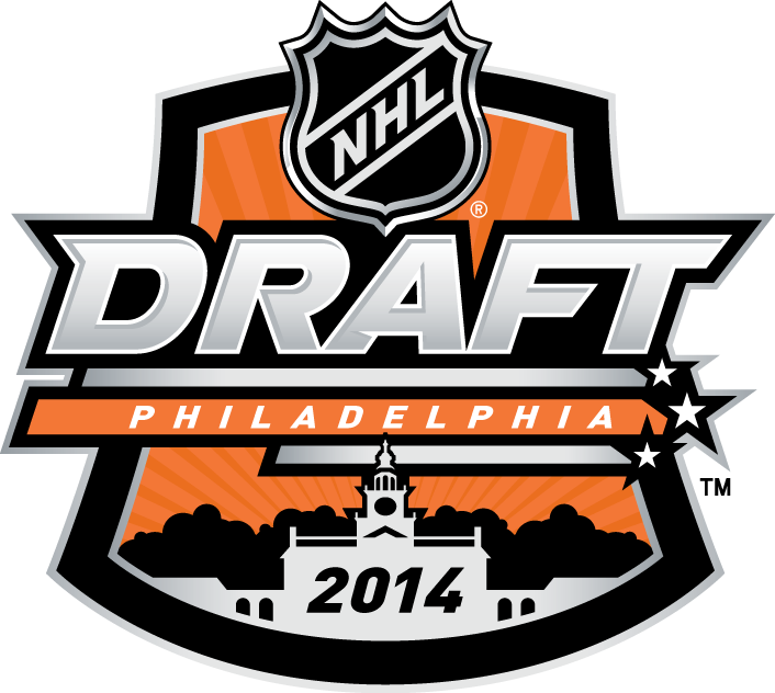 NHL Draft 2014 Primary Logo iron on transfers for T-shirts